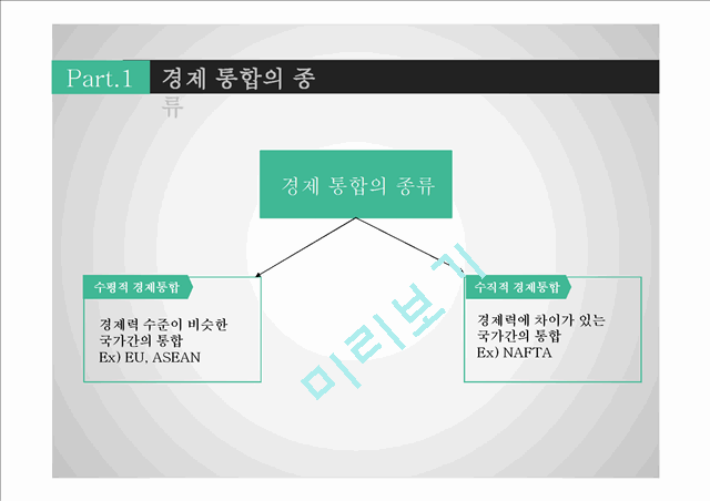 경제통합의 개념과 주요 경제통합체,경제통합과 기업 및 한국이 직면한 과제   (5 )